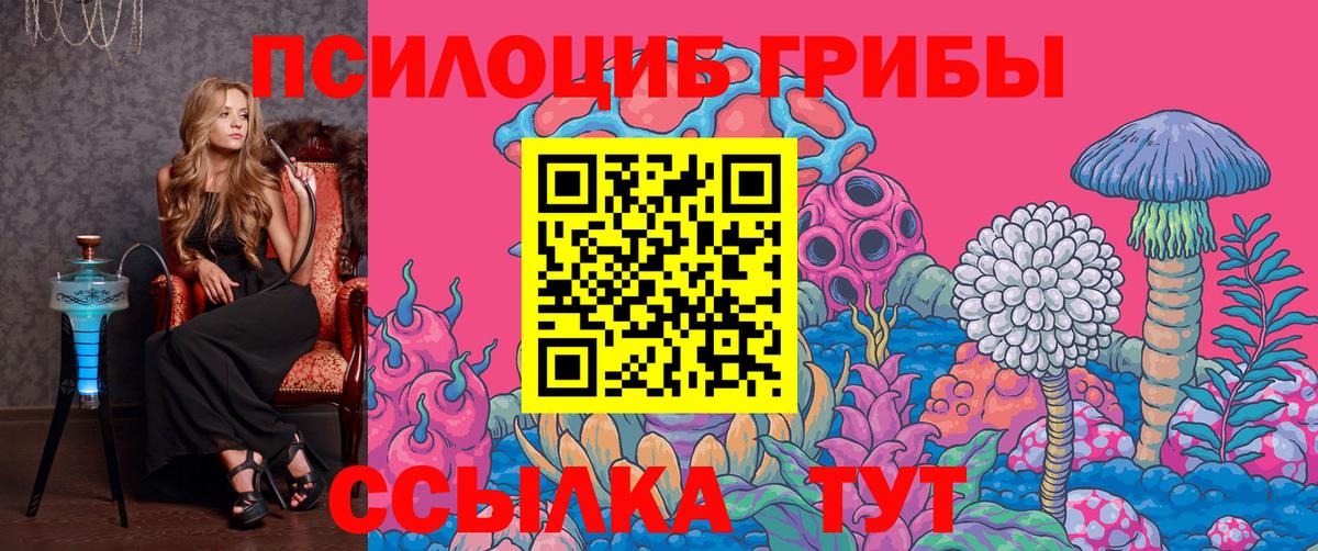Обнинск  Псилоцибиновые грибы Psilocybine cubensis  Галлюциногенные грибы прущие грибы  Вход с VPN 