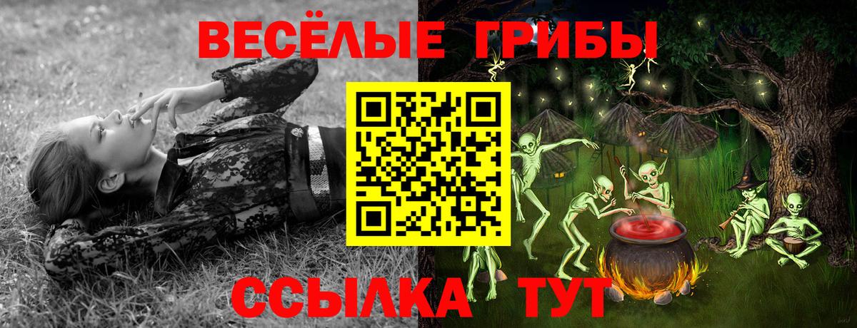 Псилоцибиновые грибы мицелий Обнинск